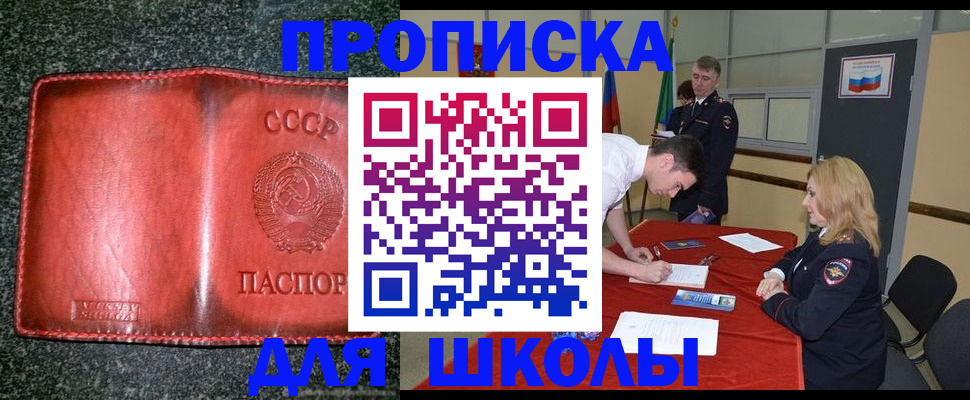 прописка в квартире в Щёлкино